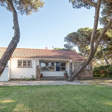 Villa Olivia *